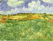 Vincent Van Gogh Plain Near Auvers Spain oil painting artist